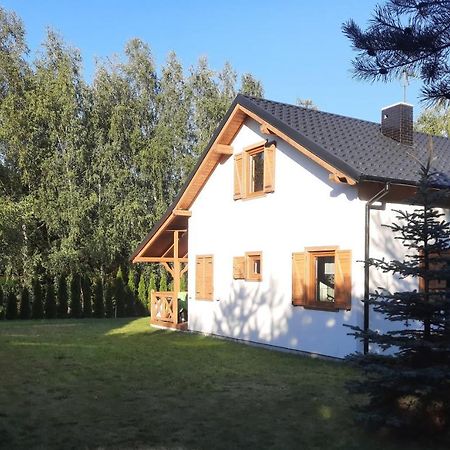 Domek Caloroczny Nad Jeziorem Budzislawskim, Wielkopolska Na Wynajem Anastazewo 外观 照片