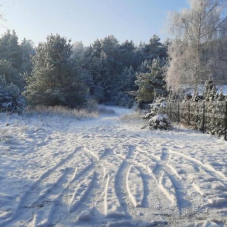 Domek Caloroczny Nad Jeziorem Budzislawskim, Wielkopolska Na Wynajem Anastazewo 外观 照片