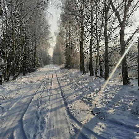 Domek Caloroczny Nad Jeziorem Budzislawskim, Wielkopolska Na Wynajem Anastazewo 外观 照片