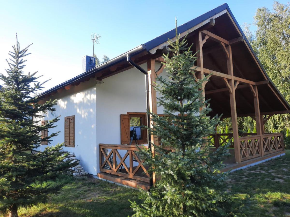 Domek Caloroczny Nad Jeziorem Budzislawskim, Wielkopolska Na Wynajem Anastazewo 外观 照片