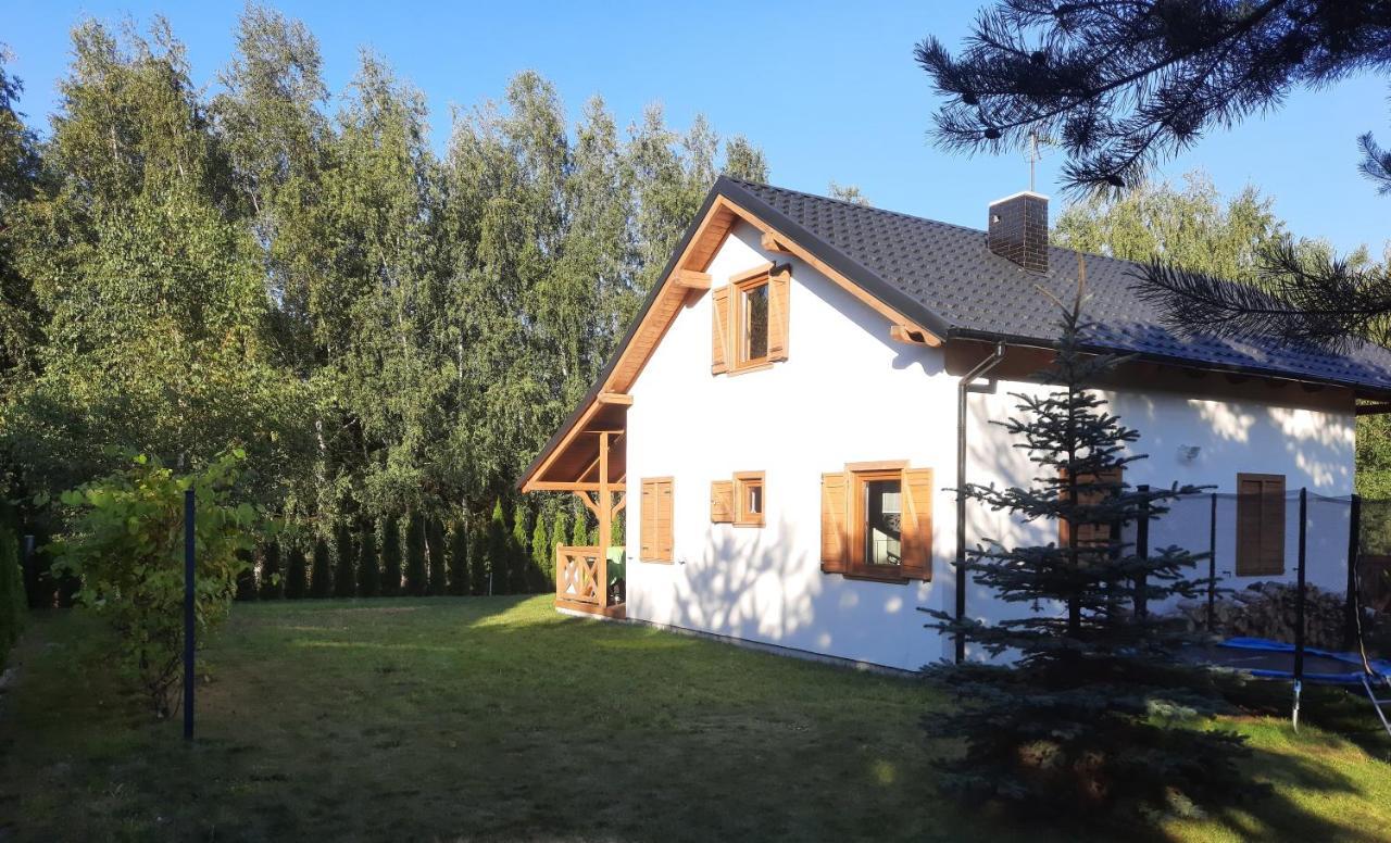 Domek Caloroczny Nad Jeziorem Budzislawskim, Wielkopolska Na Wynajem Anastazewo 外观 照片