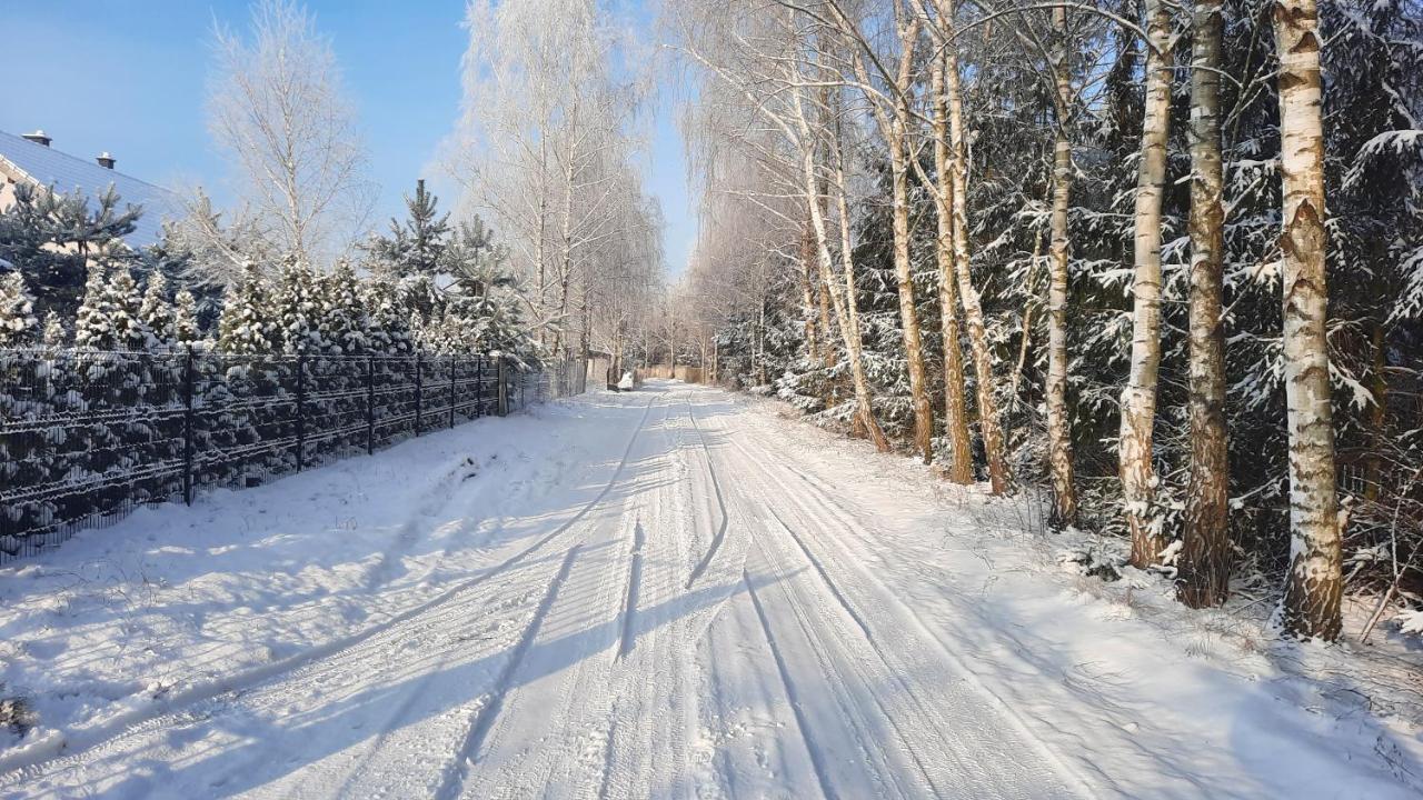 Domek Caloroczny Nad Jeziorem Budzislawskim, Wielkopolska Na Wynajem Anastazewo 外观 照片